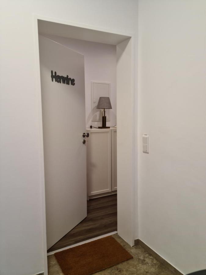 Pilgrims "Hermine" Fewo Mit 3 Schlafzimmern, Balkon, Fast Internet Брилон Экстерьер фото